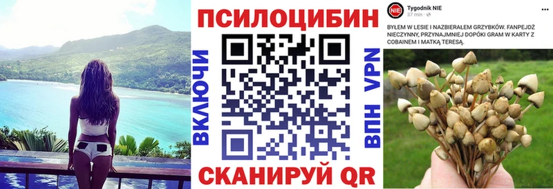 Псилоцибиновые грибы мицелий  Купить закладки  Кировск 