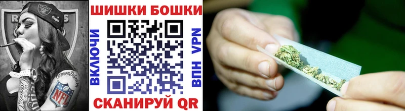 Конопля гибрид  Купить закладки  Кировск 